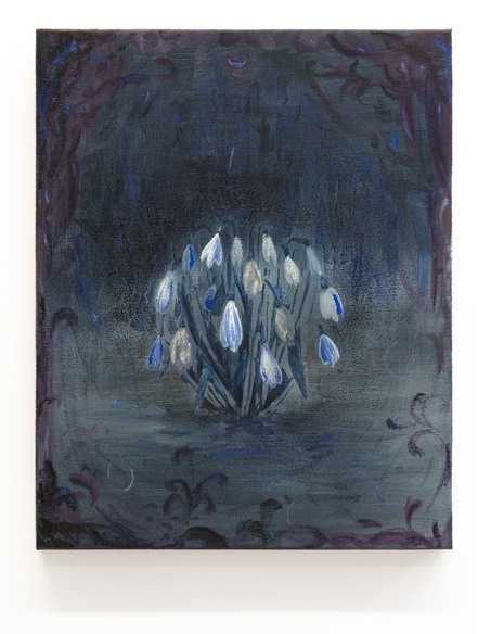 Torpor 1